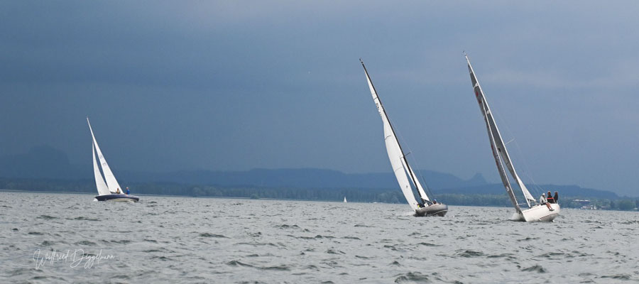 Yachtclub Insel Reichenau - Segel im Wind